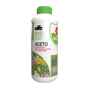 ACETO LT. 1